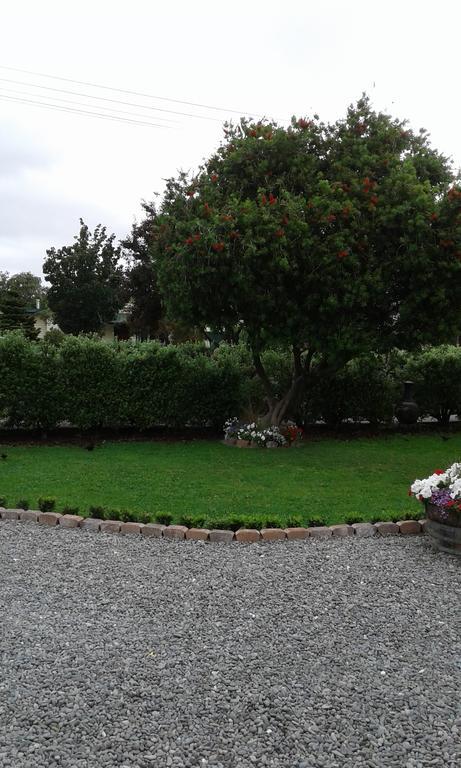 Coeden Cottage Blenheim Bagian luar foto