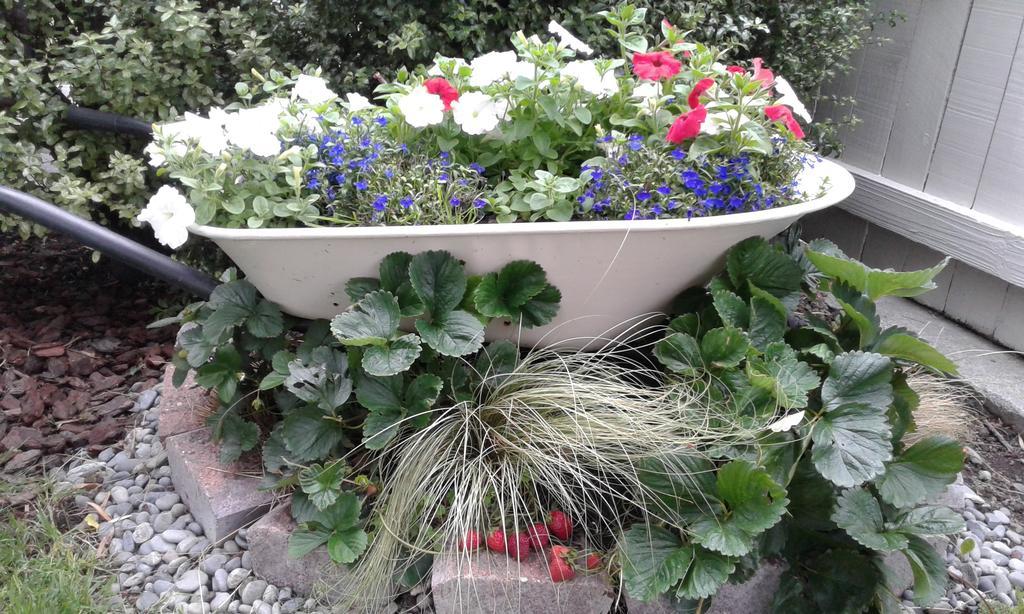 Coeden Cottage Blenheim Bagian luar foto