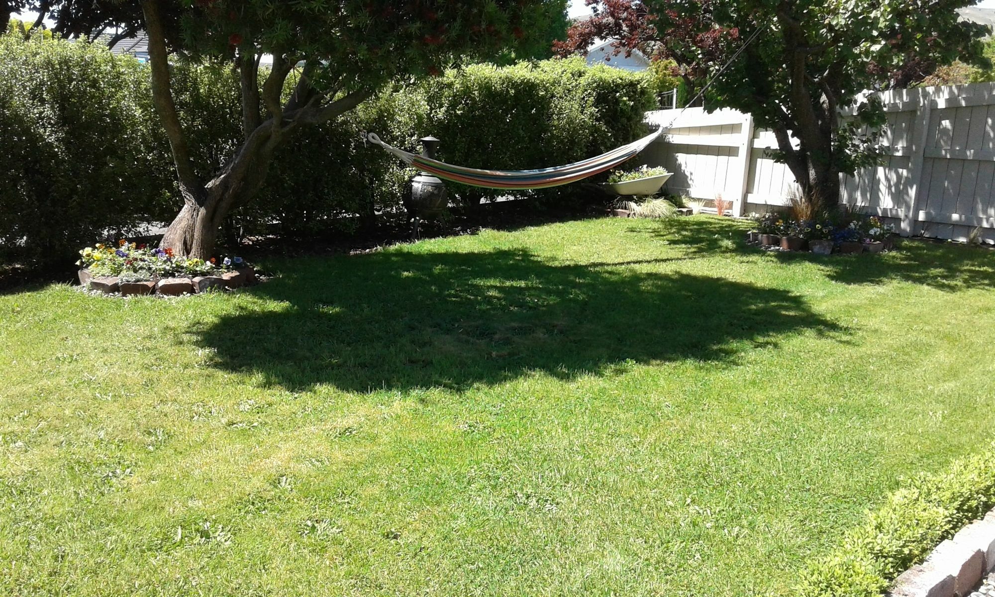 Coeden Cottage Blenheim Bagian luar foto
