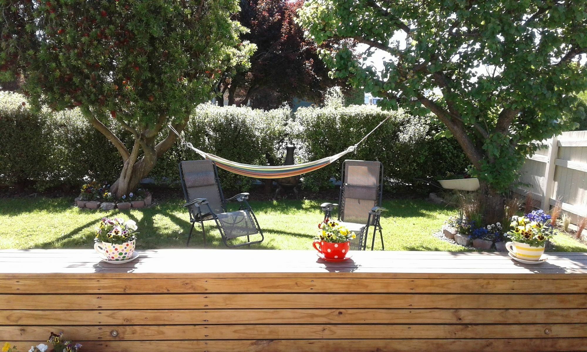 Coeden Cottage Blenheim Bagian luar foto