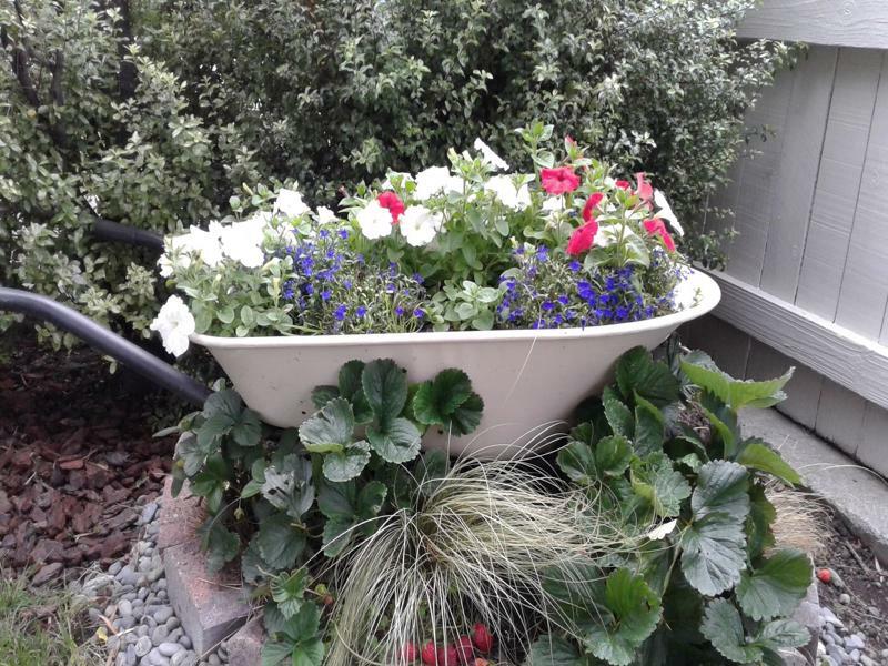 Coeden Cottage Blenheim Bagian luar foto